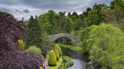 Ronnie Murphy Photography