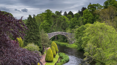 Ronnie Murphy Photography