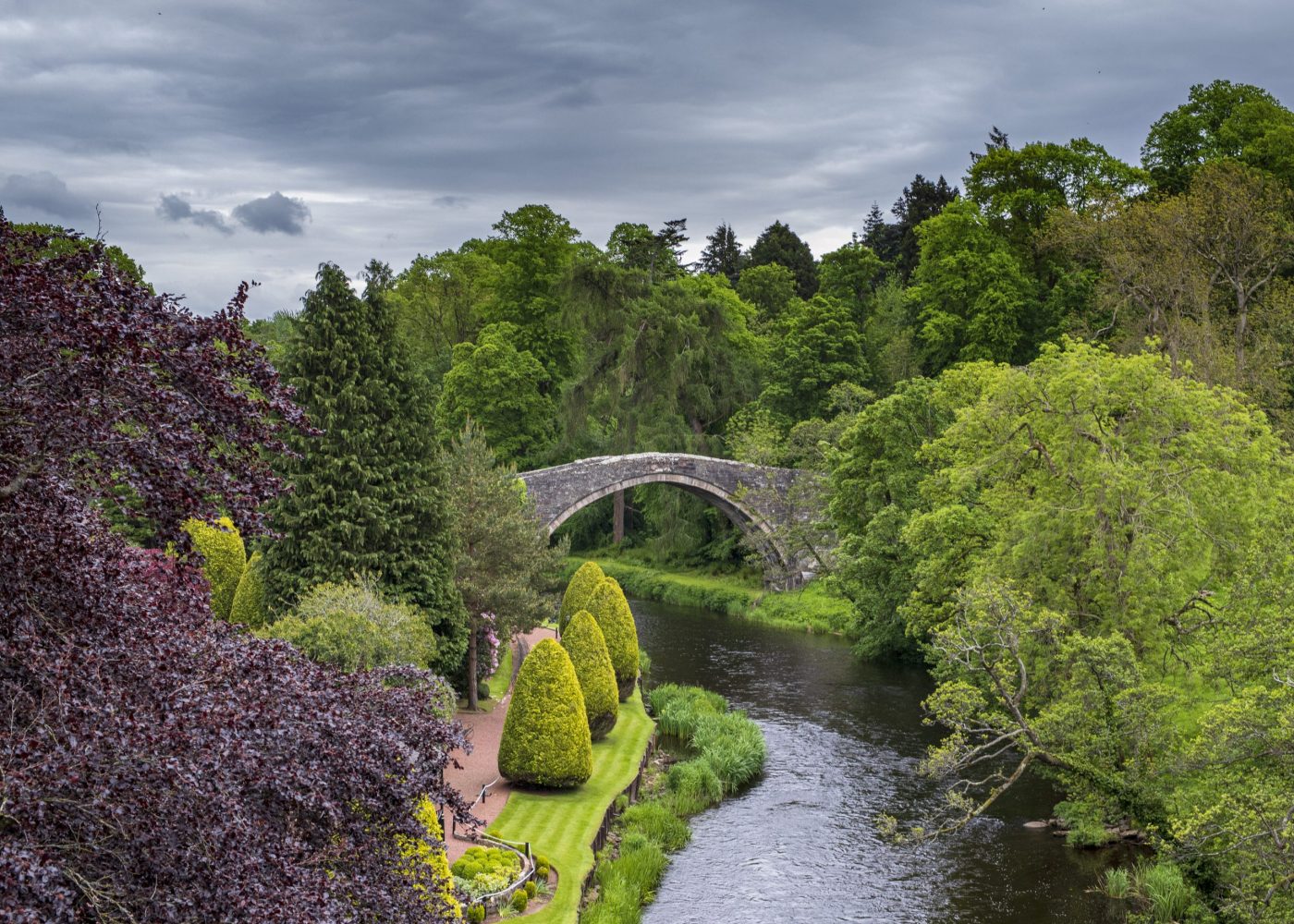 Ronnie Murphy Photography