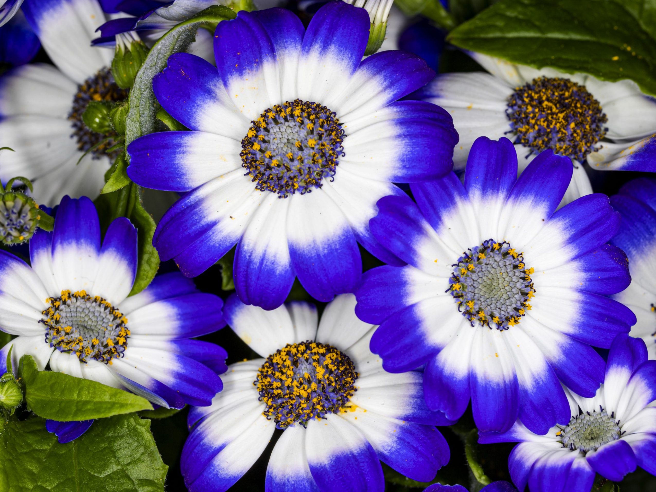 MG_5674-scaled-2550x1912